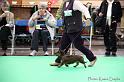 Crufts2011_2 1461